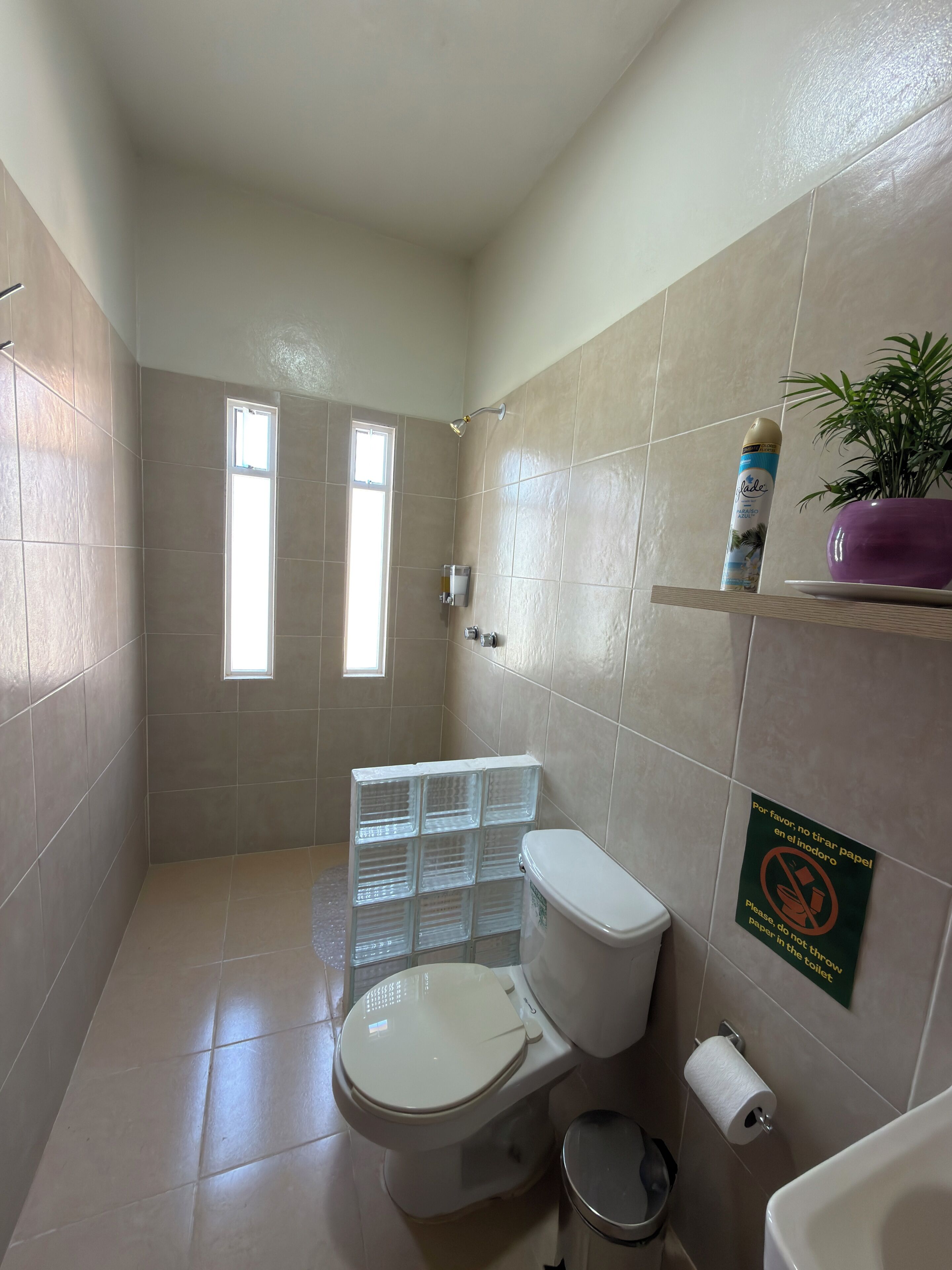 Un baño con inodoro, un cubo de basura, zona de ducha y estante con una botella y una planta en maceta.