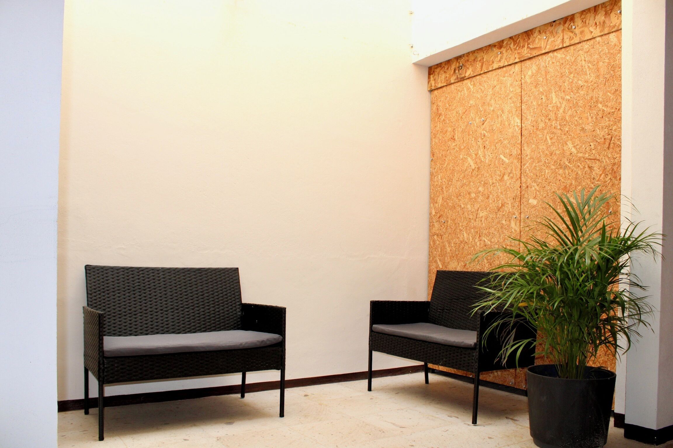 A corner with two wicker chairs, a potted plant, and a wooden wall.
