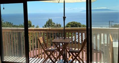 Pacific Panorama: A Sunny and Spacious 3-Story House Just 1 Hour from Tokyo.