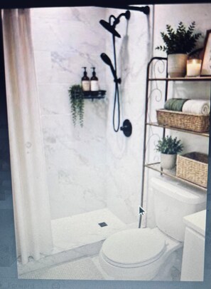 Ein Badezimmer mit Dusche, Ablagefläche für Pflegeprodukte und einer Pflanze.