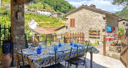 Amazing home in Fabbriche di Vallico with WiFi
