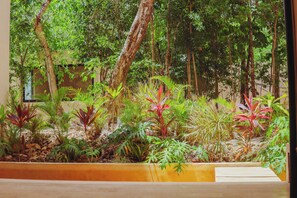 Un jardin intérieur luxuriant, avec différentes plantes tropicales et un banc en bois.