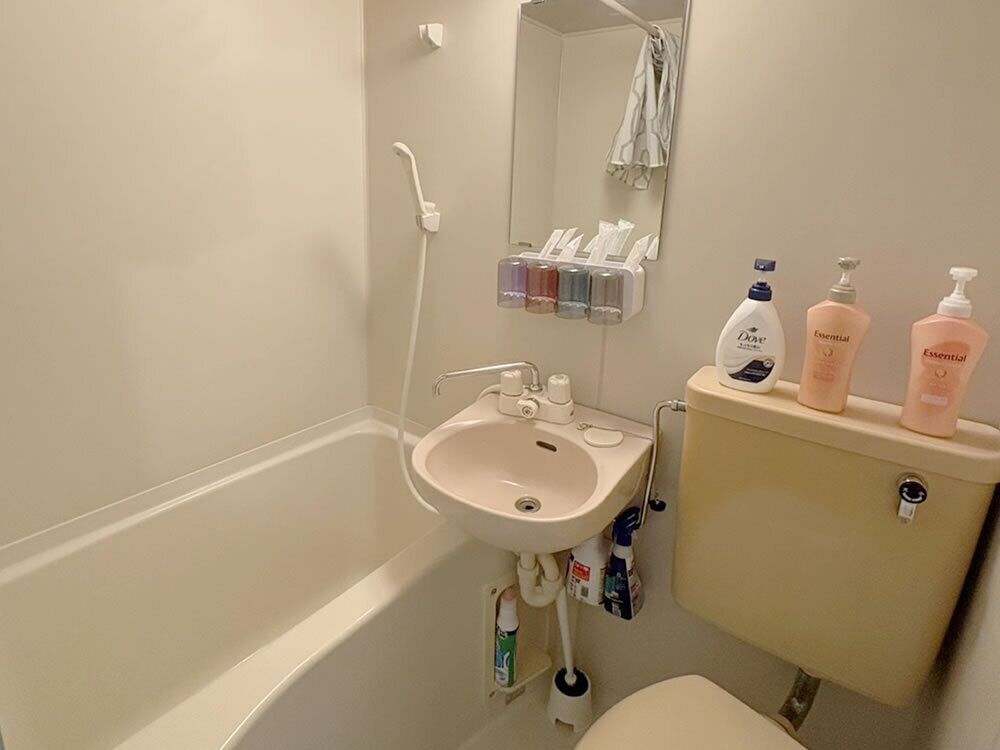 Combined shower/tub, hair dryer, towels, soap