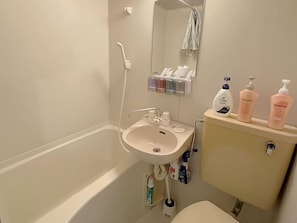 Combined shower/tub, hair dryer, towels, soap