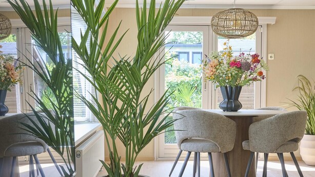 A dining area with a table, chairs, a potted plant, and a hanging light fixture.