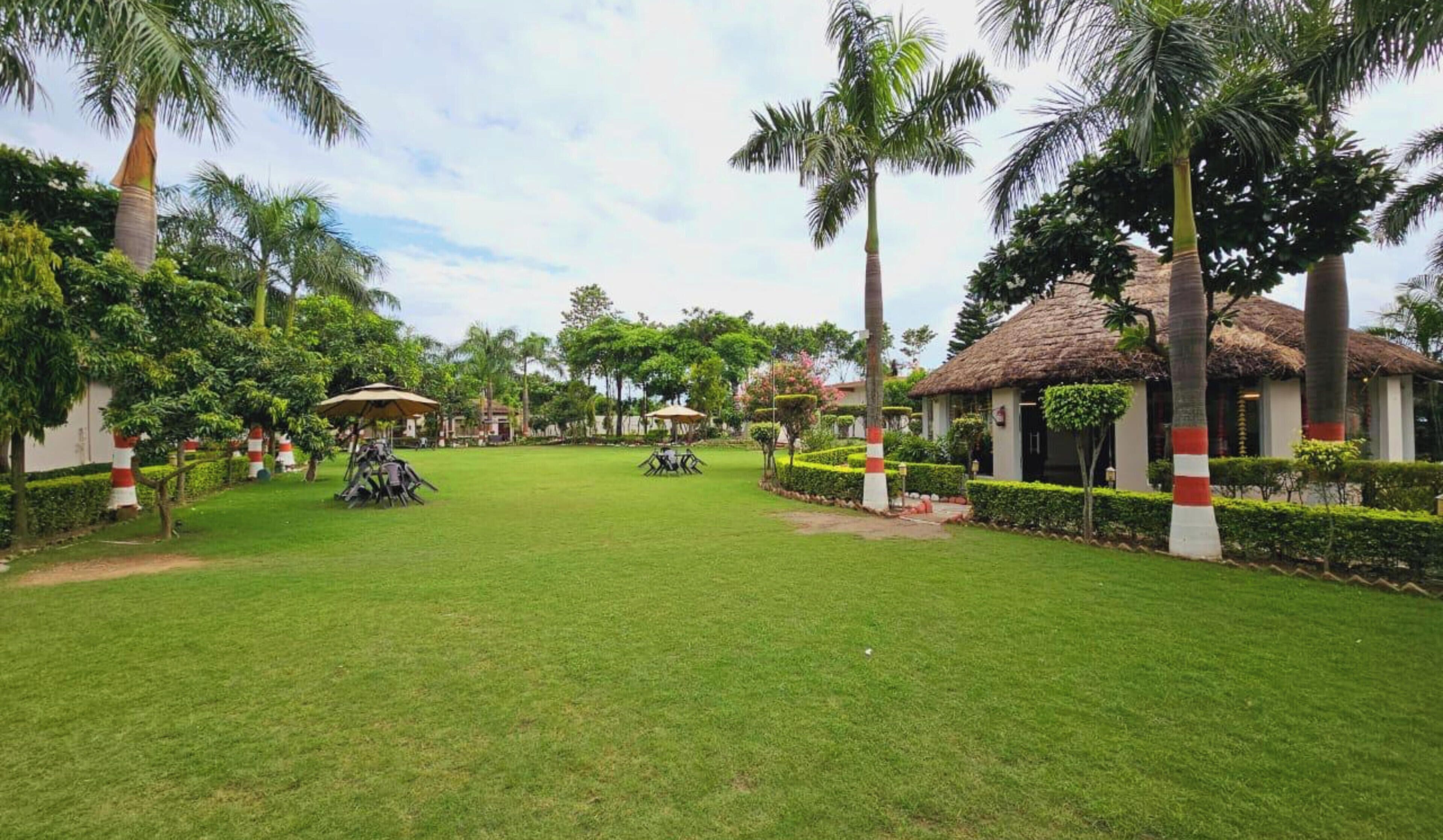 Garden view