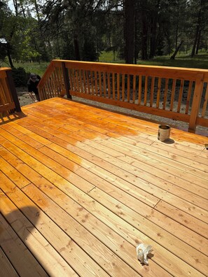 Property grounds - 3-bedroom cabin in delightful Seeley Lake with cozy charm (Seeley Lake)