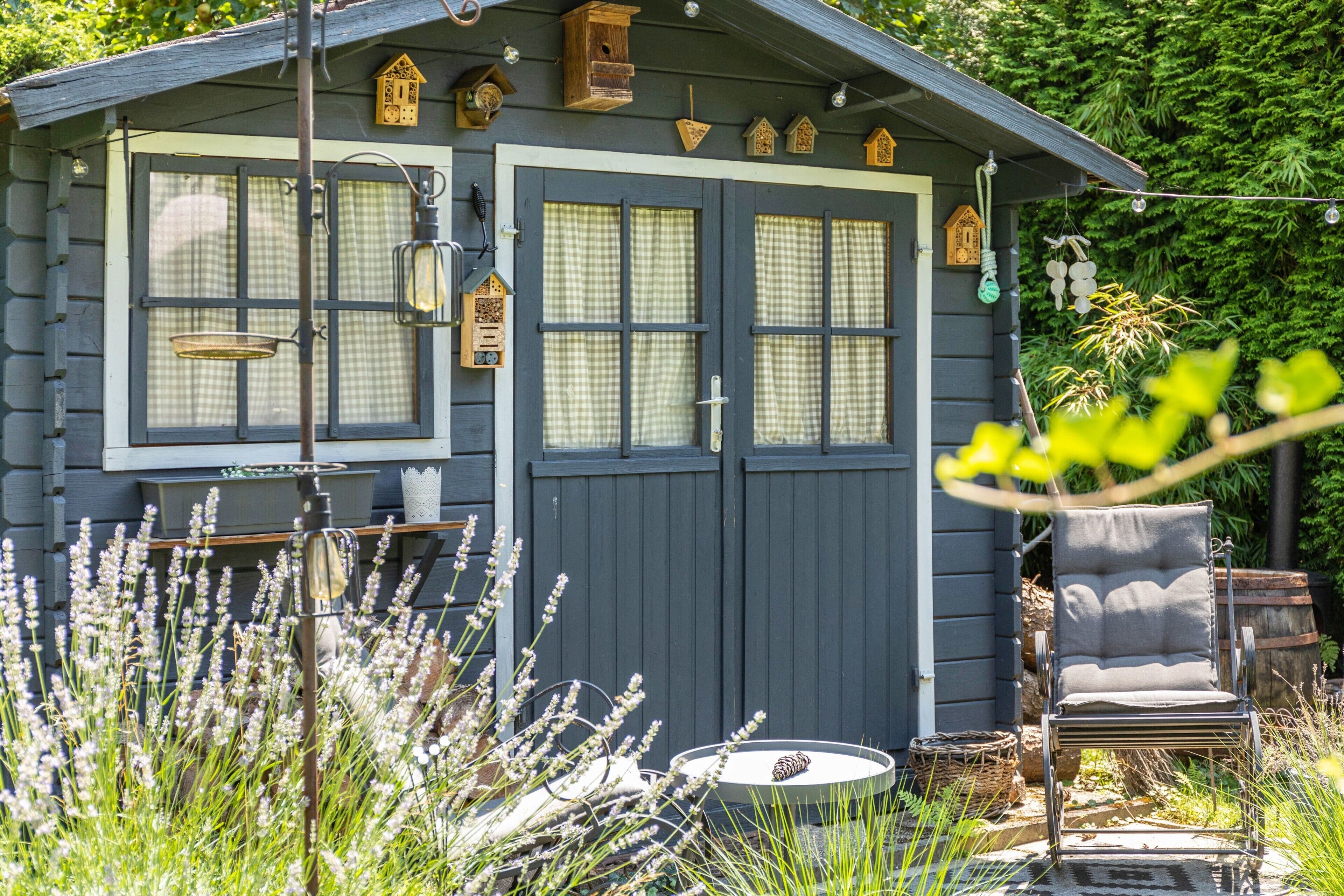 Une cabane rustique dotée d’un porche, d’une collection de nichoirs et d’un jardin où poussent des plants de lavande.