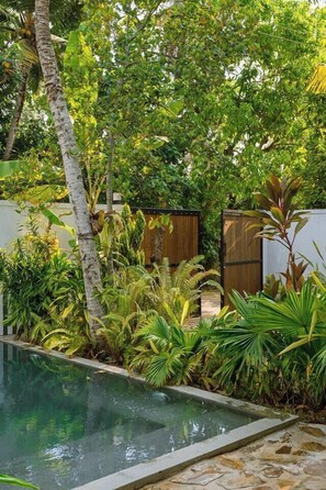 Piscina rodeada por vegetação exuberante e cercas de madeira.