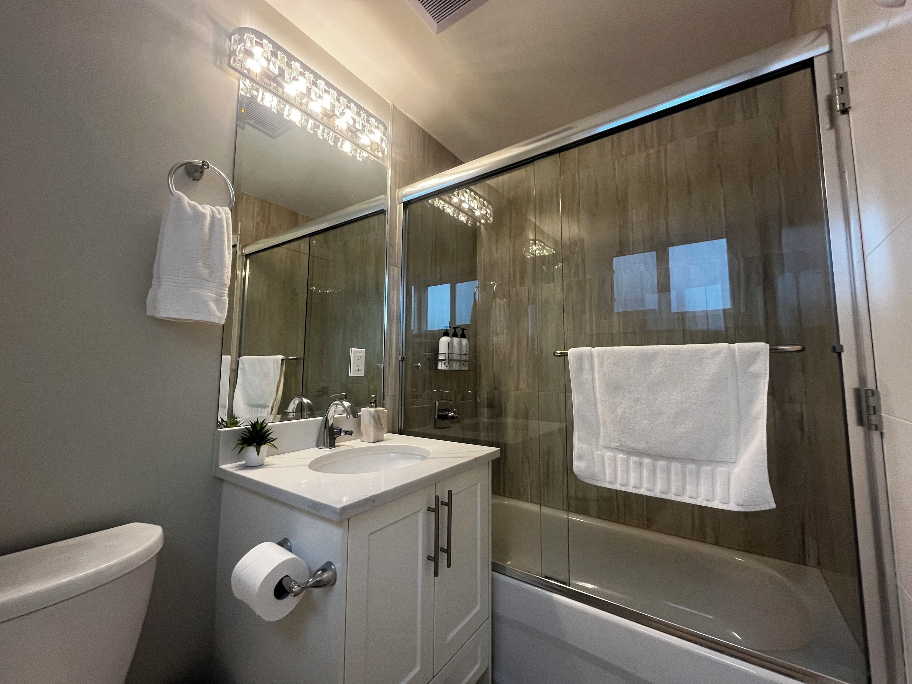 Hair dryer, towels, soap, toilet paper