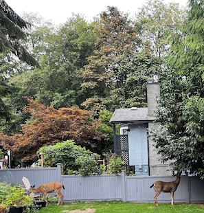 A fenced backyard with two deer, a brick chimney, and dense foliage.