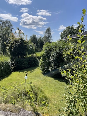 Un jardín bien cuidado con diversas plantas y un cielo despejado.