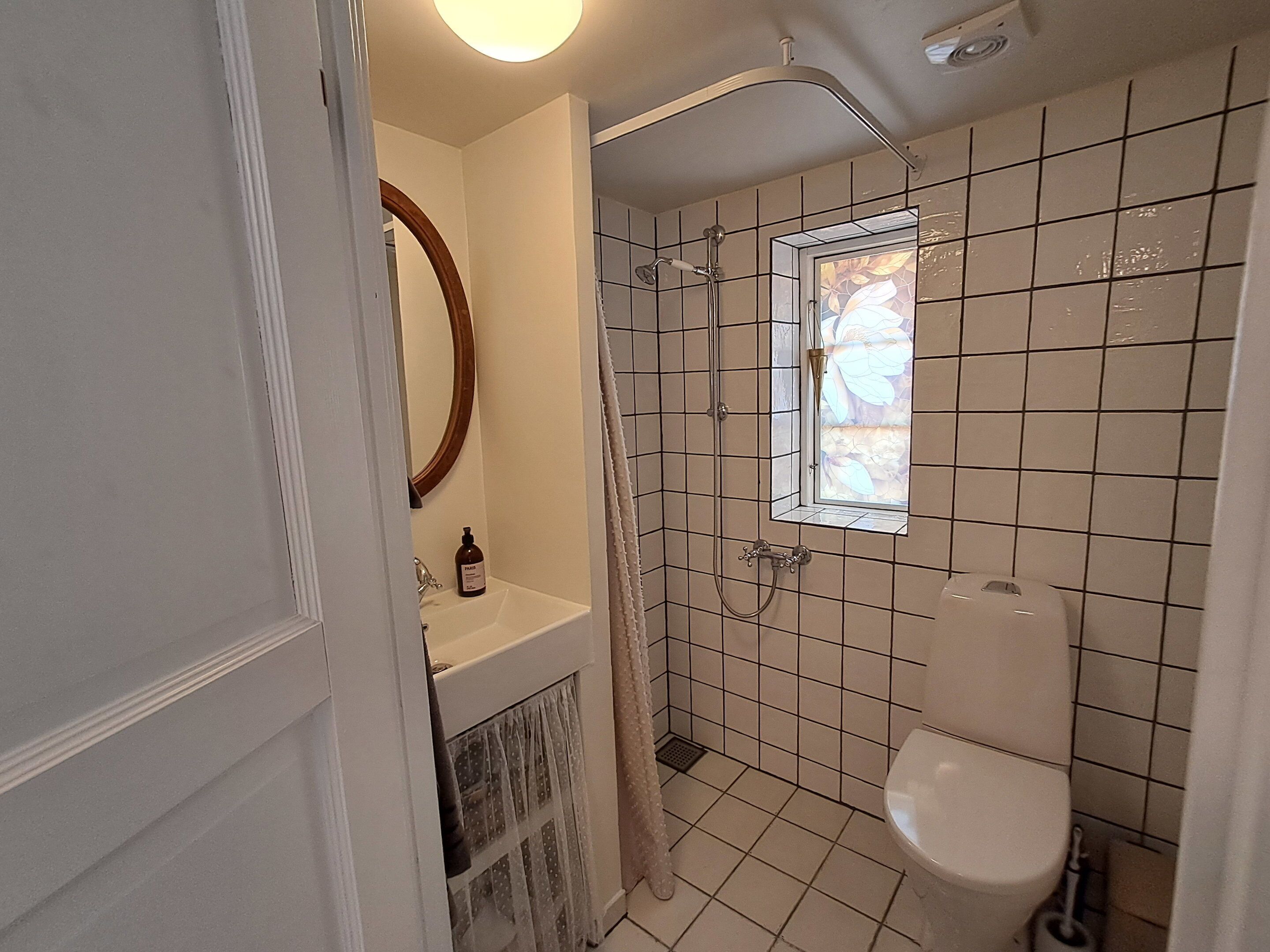 Shower, hair dryer