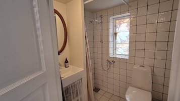 Shower, hair dryer