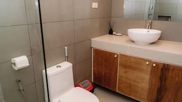 Regadera, toallas, jabón, papel de baño