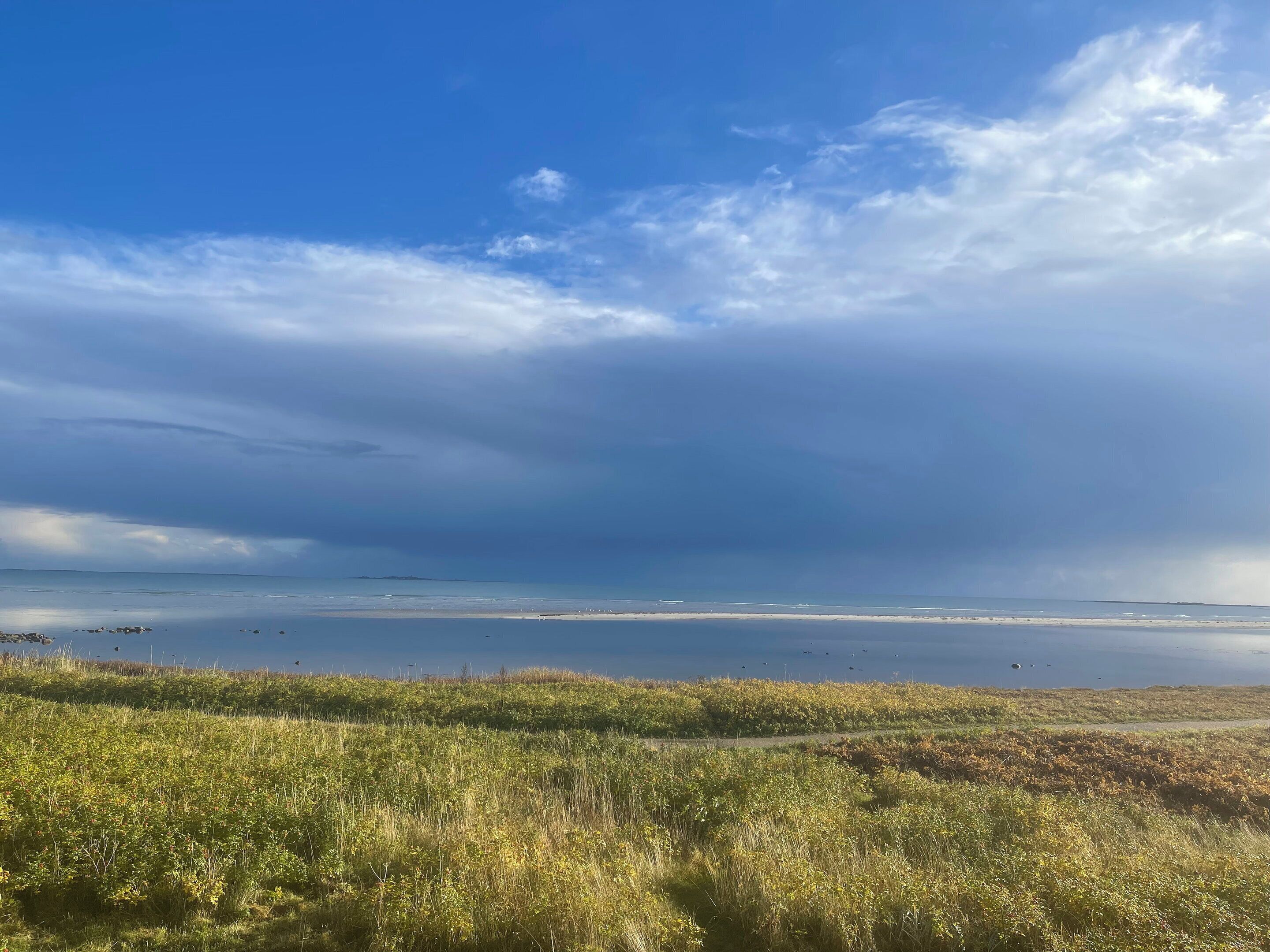 Strand