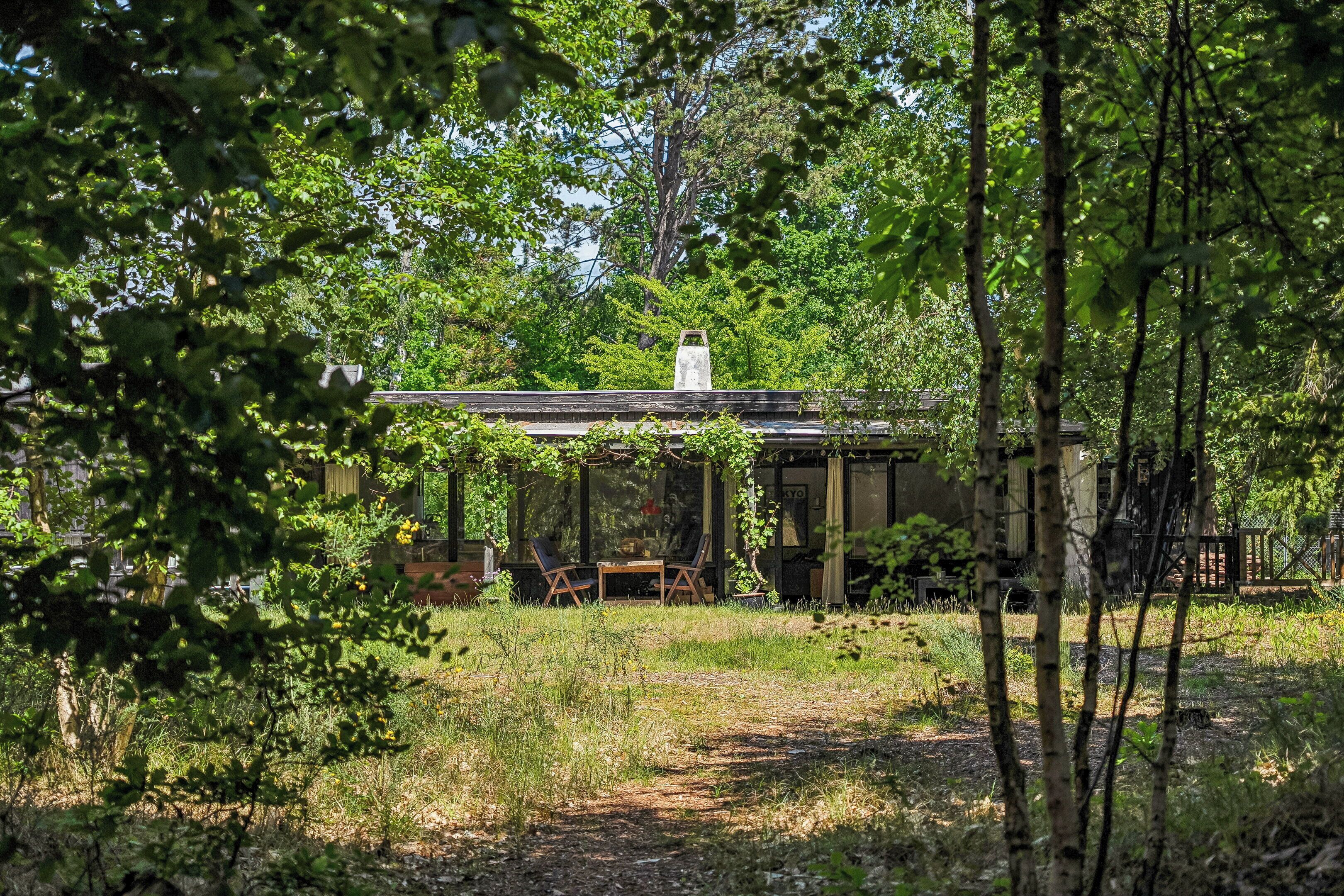 A rustic cabin with a glass door, surrounded by trees and a grassy area.