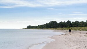 Una playa con arena, agua tranquila y un área boscosa al fondo.