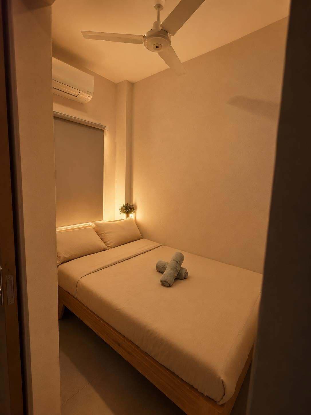 A single bed with a headboard, a ceiling fan, and a small bedside table with a plant.