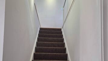 A carpeted staircase with white walls and a light fixture at the top.