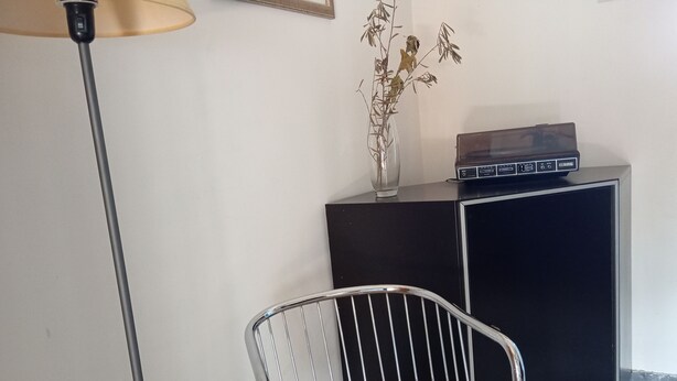 A room with a metal chair, a cabinet with a TV, and a vase with dried plants. - A small villa nestled in the greenery of Rome (Roma)