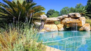 A pool with clear water, surrounded by rocks and plants.