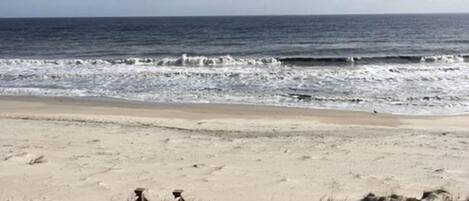 Surfing, sailing, kayaking, fishing
