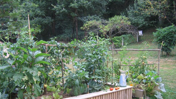 A garden with a wooden raised bed, various plants, and a blue watering can. - Gîte des Chênes, located in the heart of Béarn. (Arthez-de-Béarn)