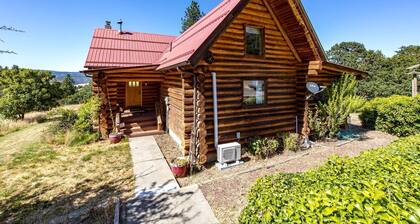 Stunning Cabin Retreat with Sauna, Book Library and Incredible Game Room in Lyle, Washington