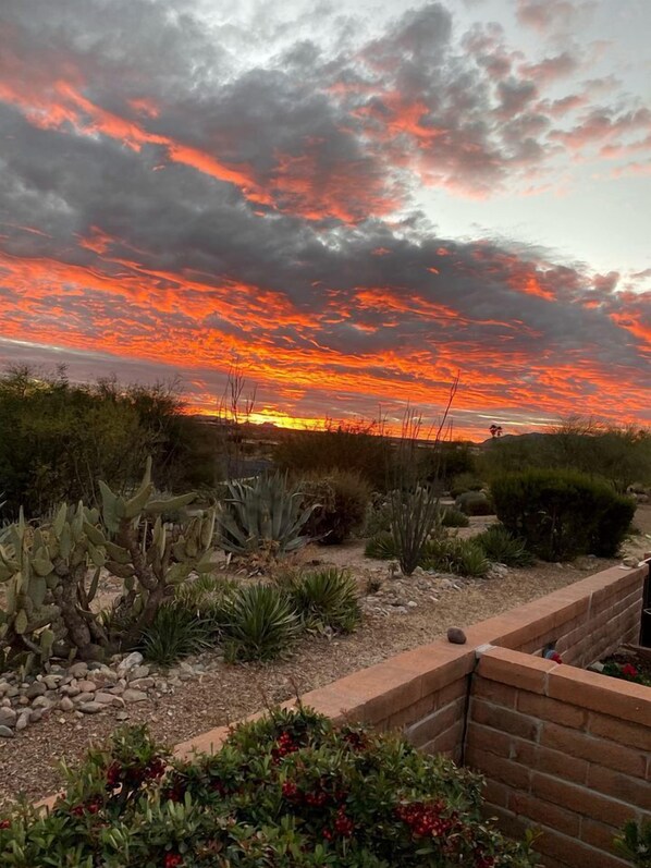 A desert landscape with cacti and shrubs, a brick retaining wall, and a sunset with clouds.