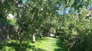 Un sendero en un jardín rodeado de árboles y una cerca de madera.