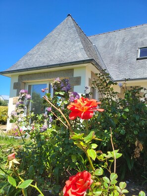 Ein Haus mit einem steilen Dach, einem großen Fenster und einem Garten mit verschiedenen Blumen.