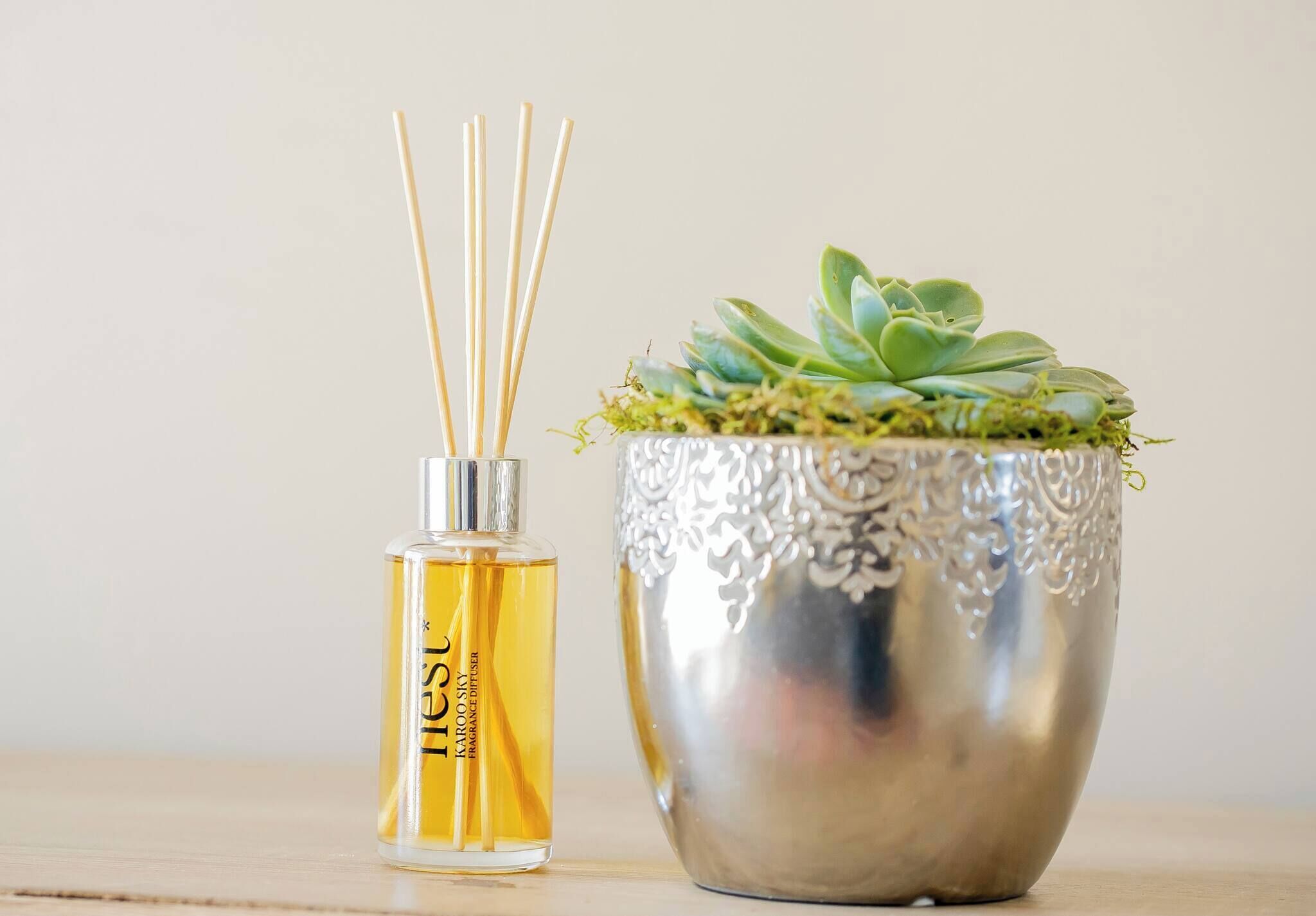 Un inciensario con palitos de incienso y una maceta decorativa con una planta suculenta.