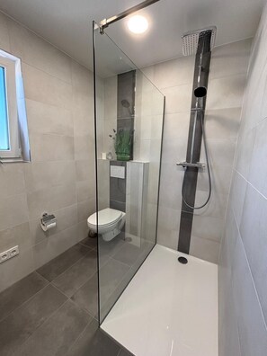 A modern bathroom with a glass shower enclosure, a toilet, and a sink. - Vacation rental for up to 6 people in Tegernheim near Regensburg (Tegernheim)