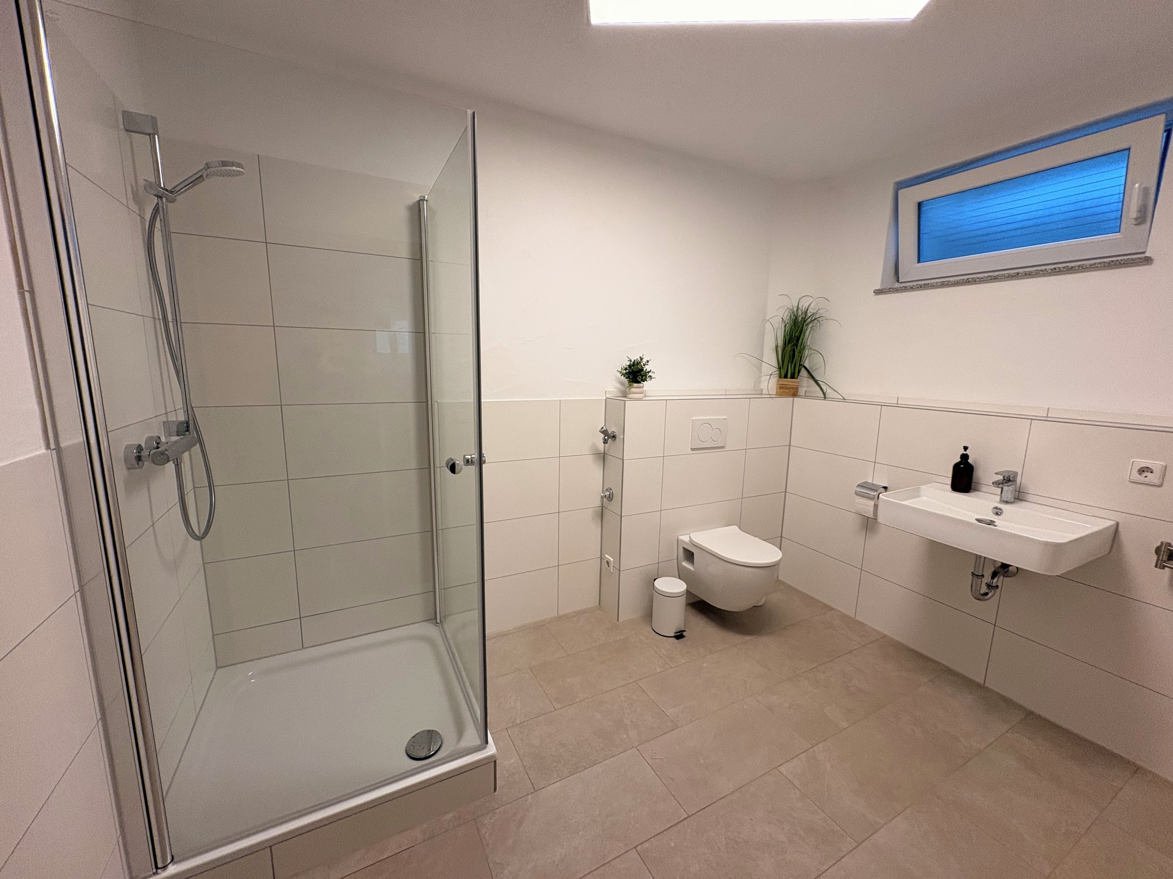 A modern bathroom with a glass-enclosed shower, a toilet, and a sink.