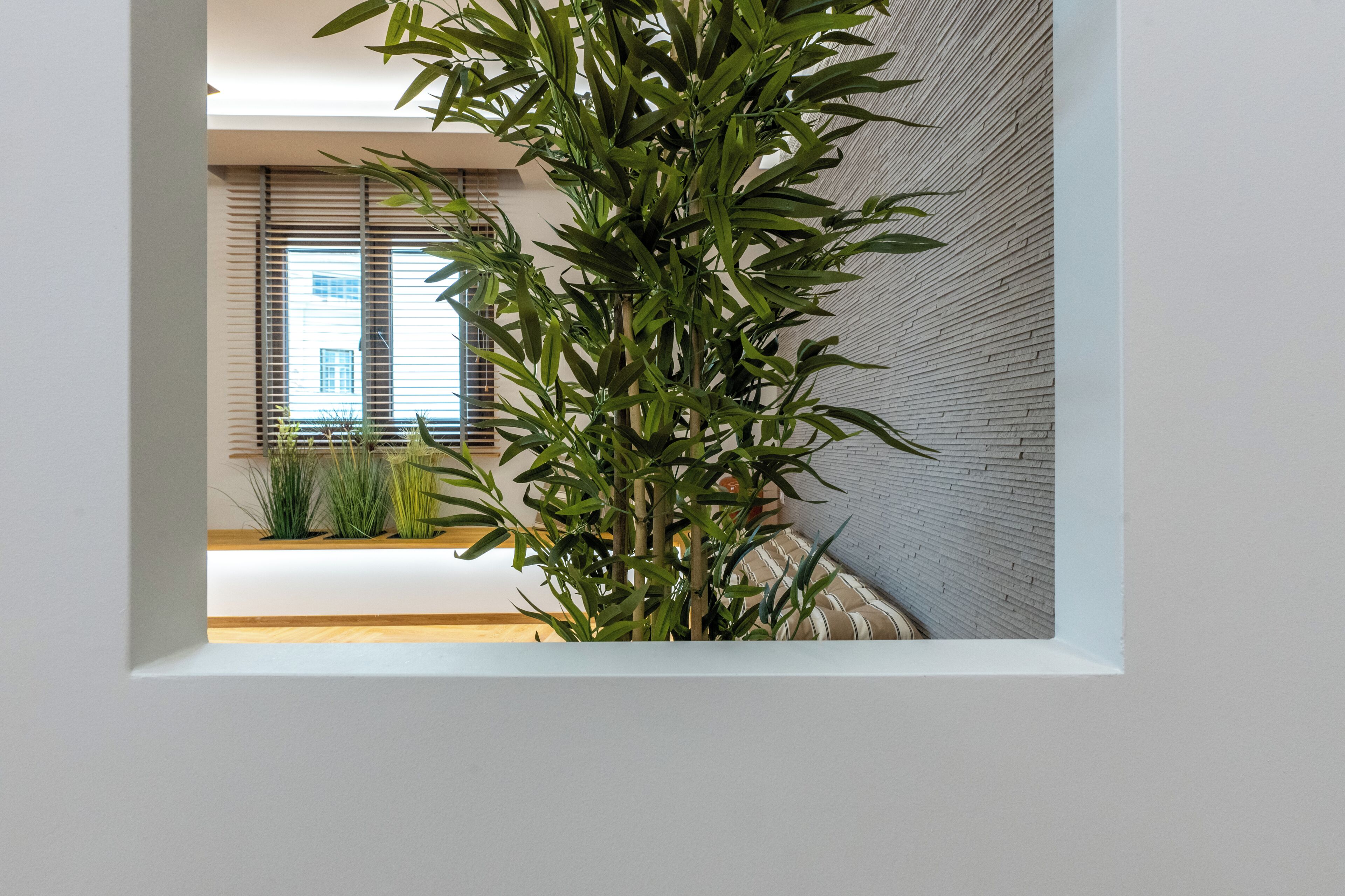 Ein modernes Interieur mit einer großen Topfpflanze, einem Fenster mit Jalousien und einer strukturierten Wand.