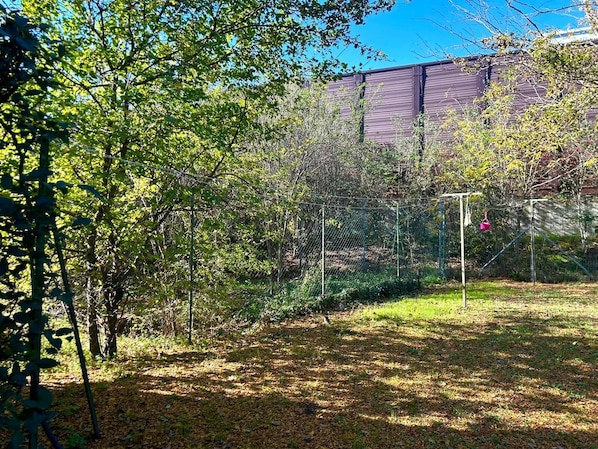 Ein von einer Hecke umgebener Außenbereich mit Bäumen und einem Gebäude im Hintergrund.