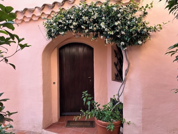 Eine Tür mit einer dunklen Holzverkleidung, einer rosafarbenen Wand und einem Blumentopf daneben.