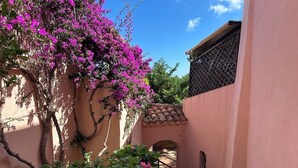 En innergård med en rosa vägg, en valvformad gång av sten och ett träd med rosa blommor.