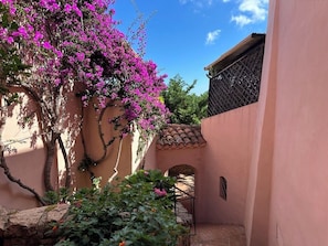 Ein Innenhof mit einer rosafarbenen Mauer, einem steinernen Bogen und einem Baum mit rosa Blüten.