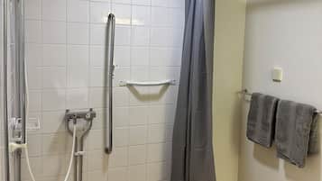 Shower, towels, toilet paper