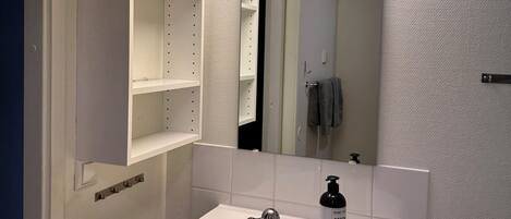 A bathroom with a white sink, mirror, and storage shelves.