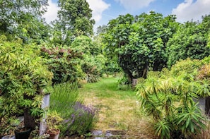 A lush garden with various plants and trees, a pathway, and a bench. - Charming 1BDR Flat in Stockwell (Greater London)