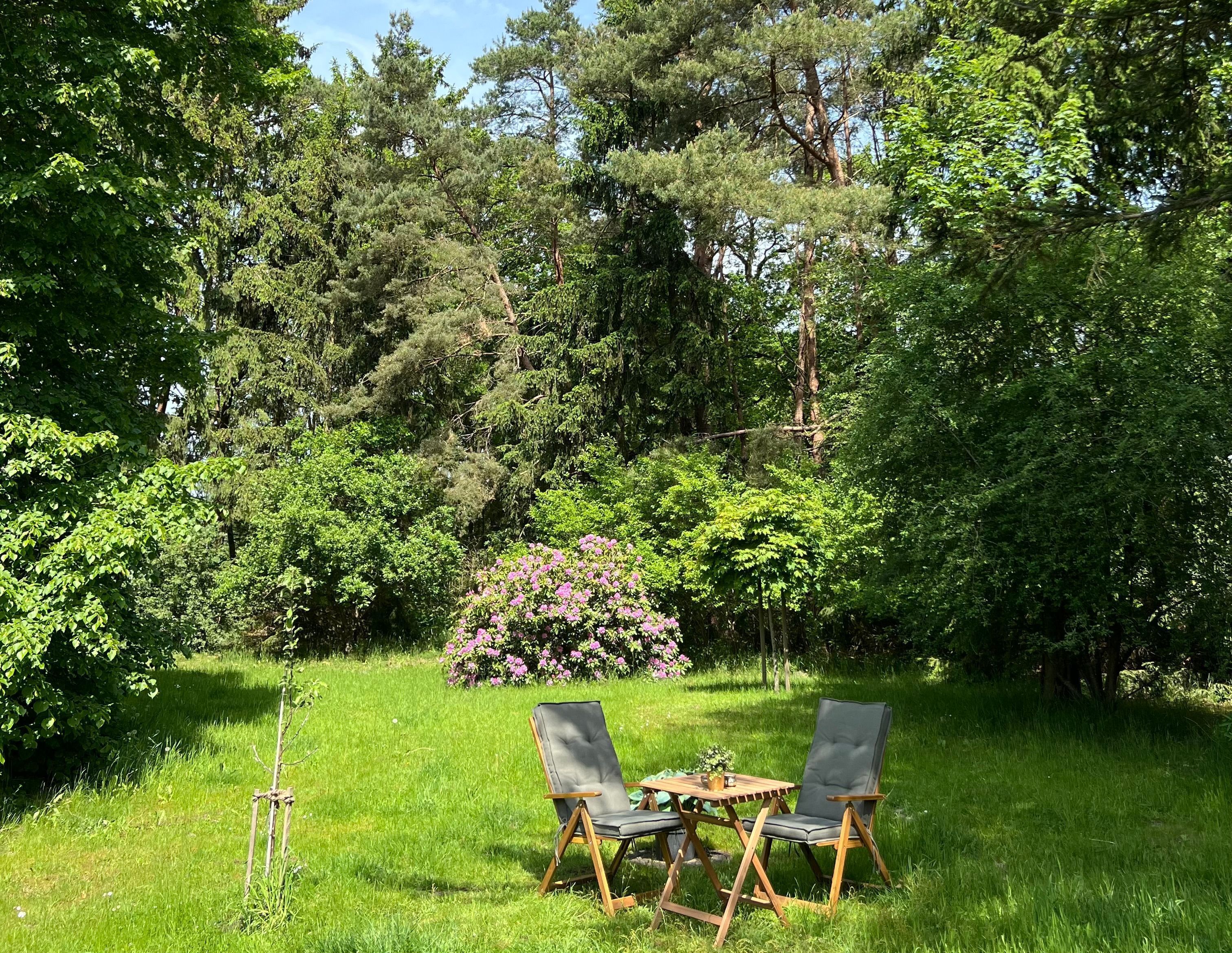 Blick vom Haus auf einen möglichen Gäste-Sitzplatz
