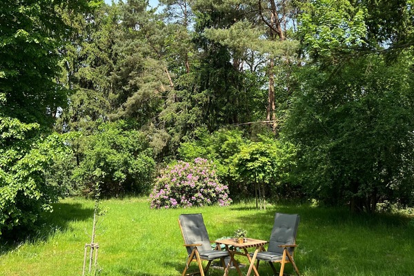 Blick vom Haus auf einen möglichen Gäste-Sitzplatz