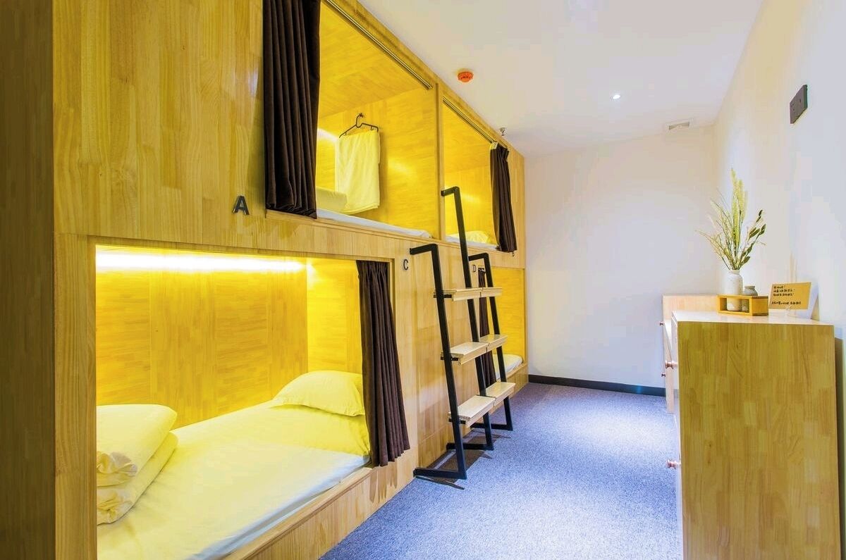 A room with bunk beds, a desk, and a small plant.