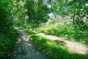 Ein schmaler Feldweg, umgeben von dichtem Grün und Bäumen.