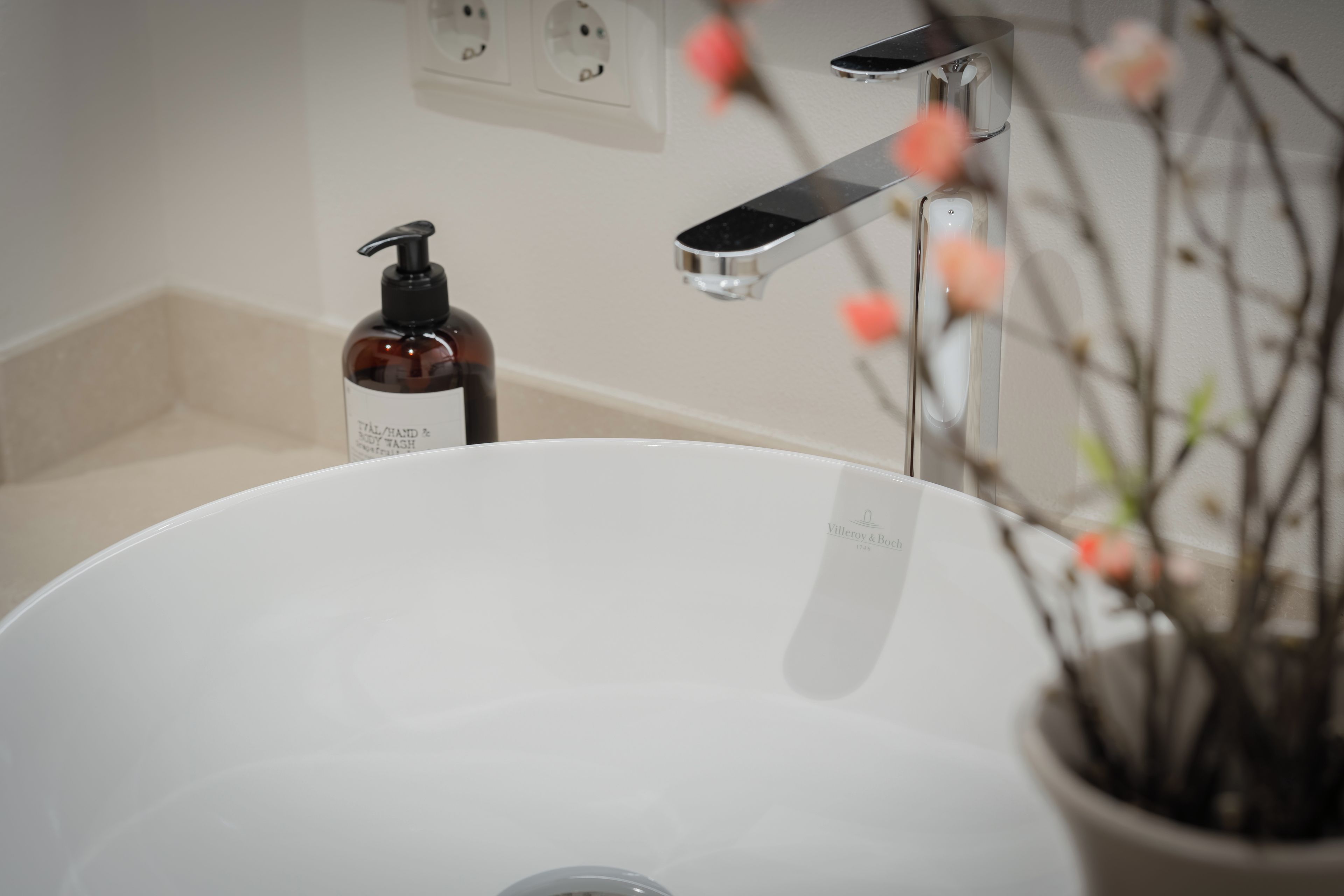 A bathroom with a white sink, a bottle of hand soap, and a potted plant.