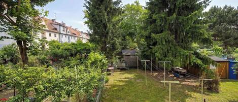 Un pati d'habitatge amb una zona tancada per una tanca, una caseta de fusta i un arbre de fulles perennes alt.