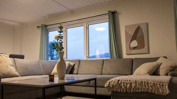 A living room with a sofa, a coffee table, a potted plant, and a window with curtains. - Arctic Comfort 2, Tromsø (Tromsø)